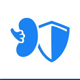 Kidney care icon