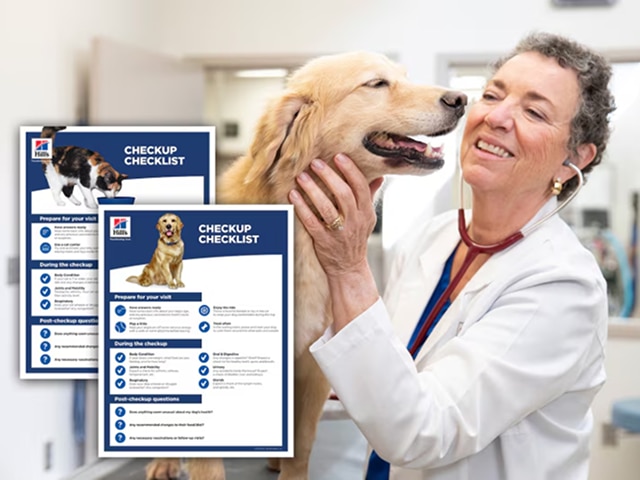 Checkup checklist