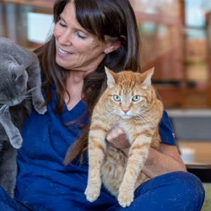 A vet with two cats in her arms