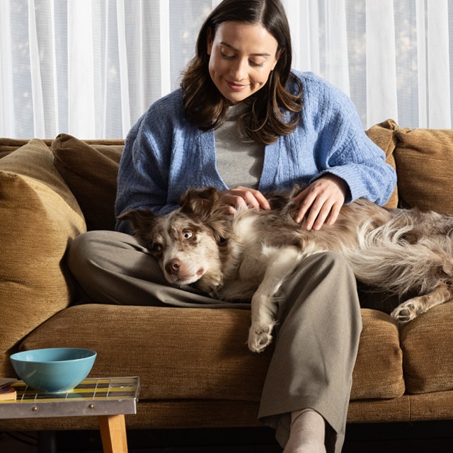 A pet parent pouring dog food in a bowl