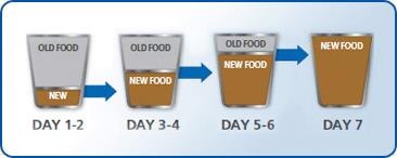 Food Transitioning Hills Pet Food Food Transitioning Hills Pet Food