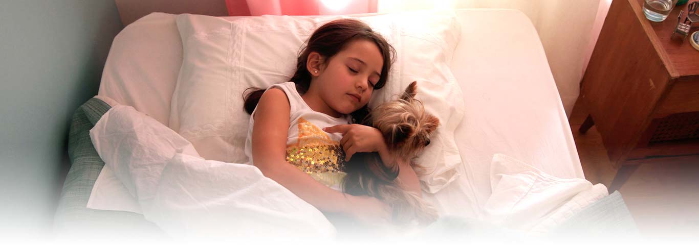 How to Shower Your Dog with Love | Hill's Pet