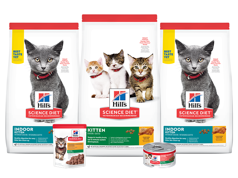 Science Diet Dry Kitten Food Bags Science Diet Dry Kitten Food Bags