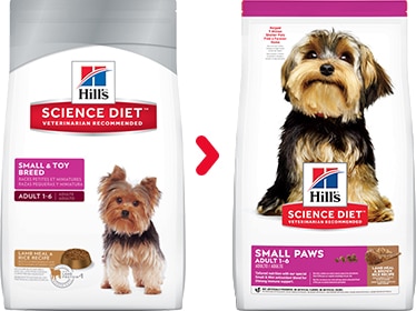 hills yorkie food
