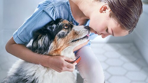 image of girl putting collar on dog
