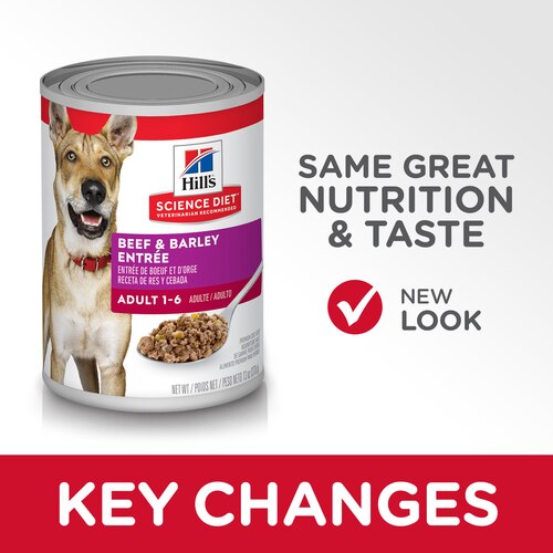sd-canine-adult-beef-barley-entree-canned