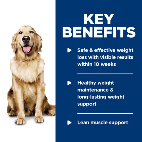 sd-canine-adult-perfect-weight-chicken-vegetable-entree-canned