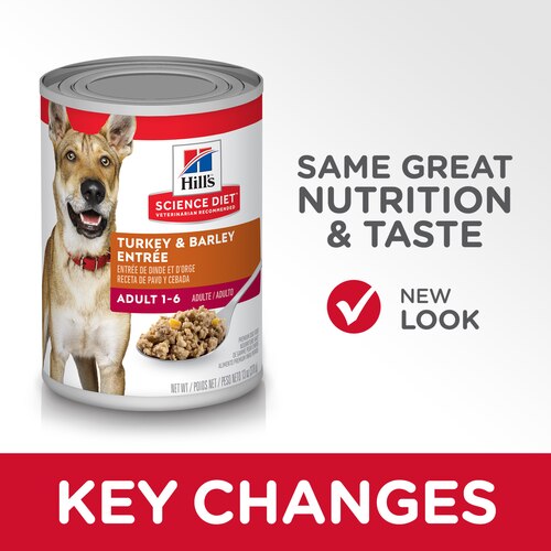sd-canine-adult-turkey-barley-canned