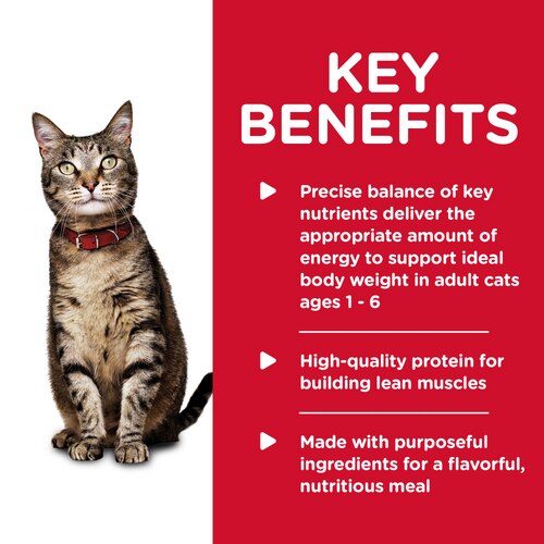 sd-feline-adult-ocean-fish-entree-canned