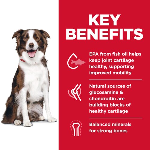 sd-canine-adult-healthy-mobility-large-breed-dry