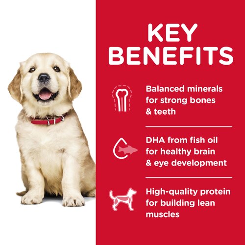 sd-canine-puppy-large-breed-dry