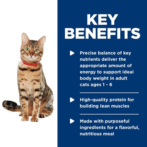 sd-feline-adult-healthy-cuisine-roasted-chicken-rice-medley-canned