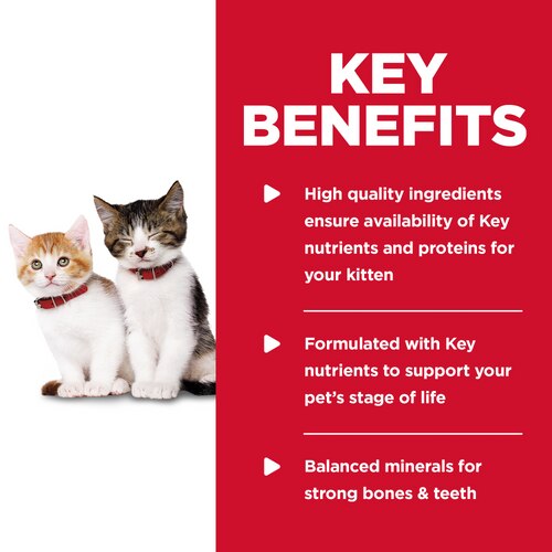 sd-feline-kitten-tender-chicken-dinner-canned