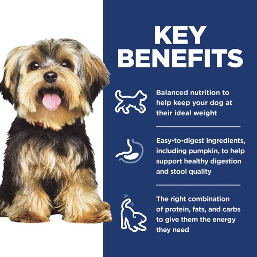 sd-canine-adult-small-breed-savory-stew-beef-vegetables-tray