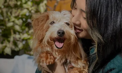 Pet Adoption Resources