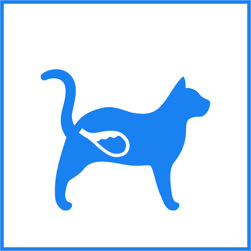 Cat Bladder Icon