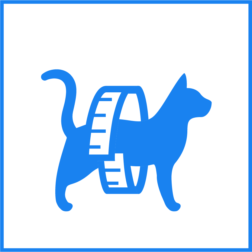 Cat Weight Measure Icon