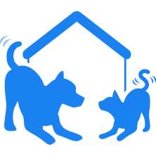 Blue silhouette of a dog and a cat playing under a house roof